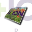 Ecrã LCD AUO 15.6" WXGA HD 1366x768 - B156XTN07.0         